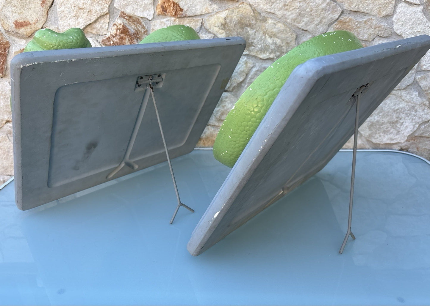 Coppia Di Modelli Dadattici Paravia - Botanico E Pianta Erbacea