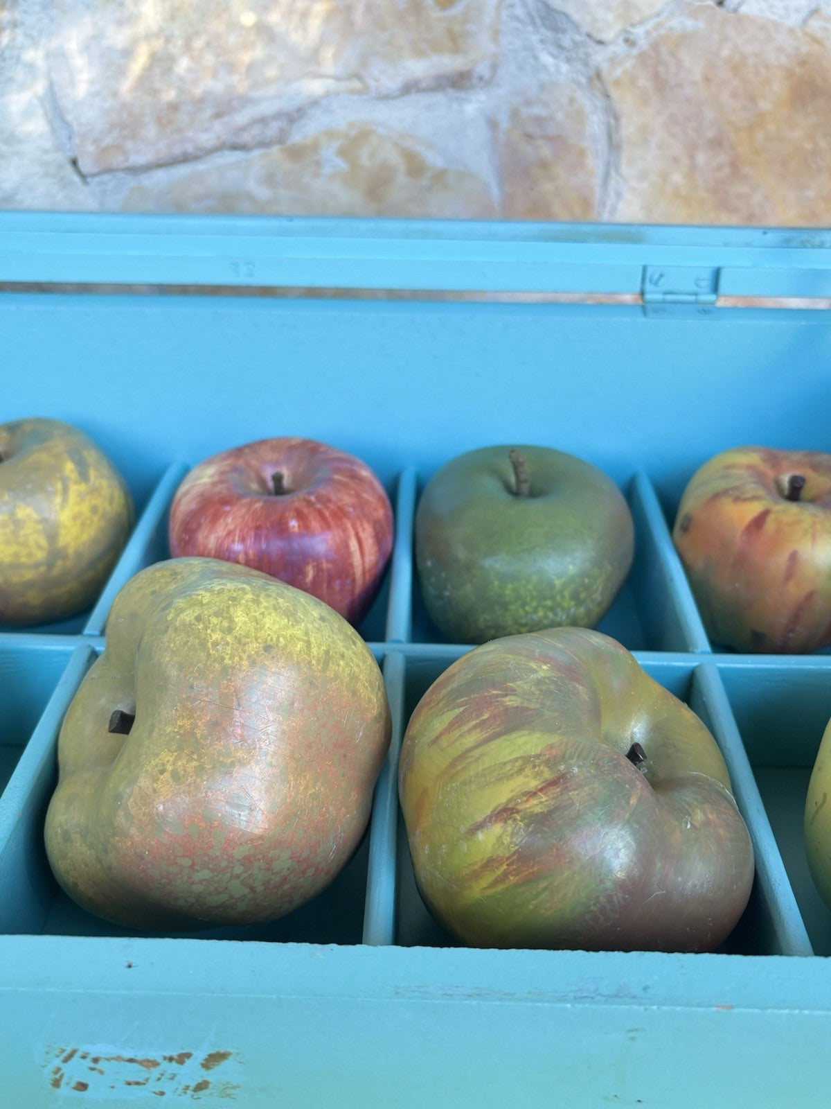 Modello Didattico- Principali Varietà Di Mele- Toffoli E Figli