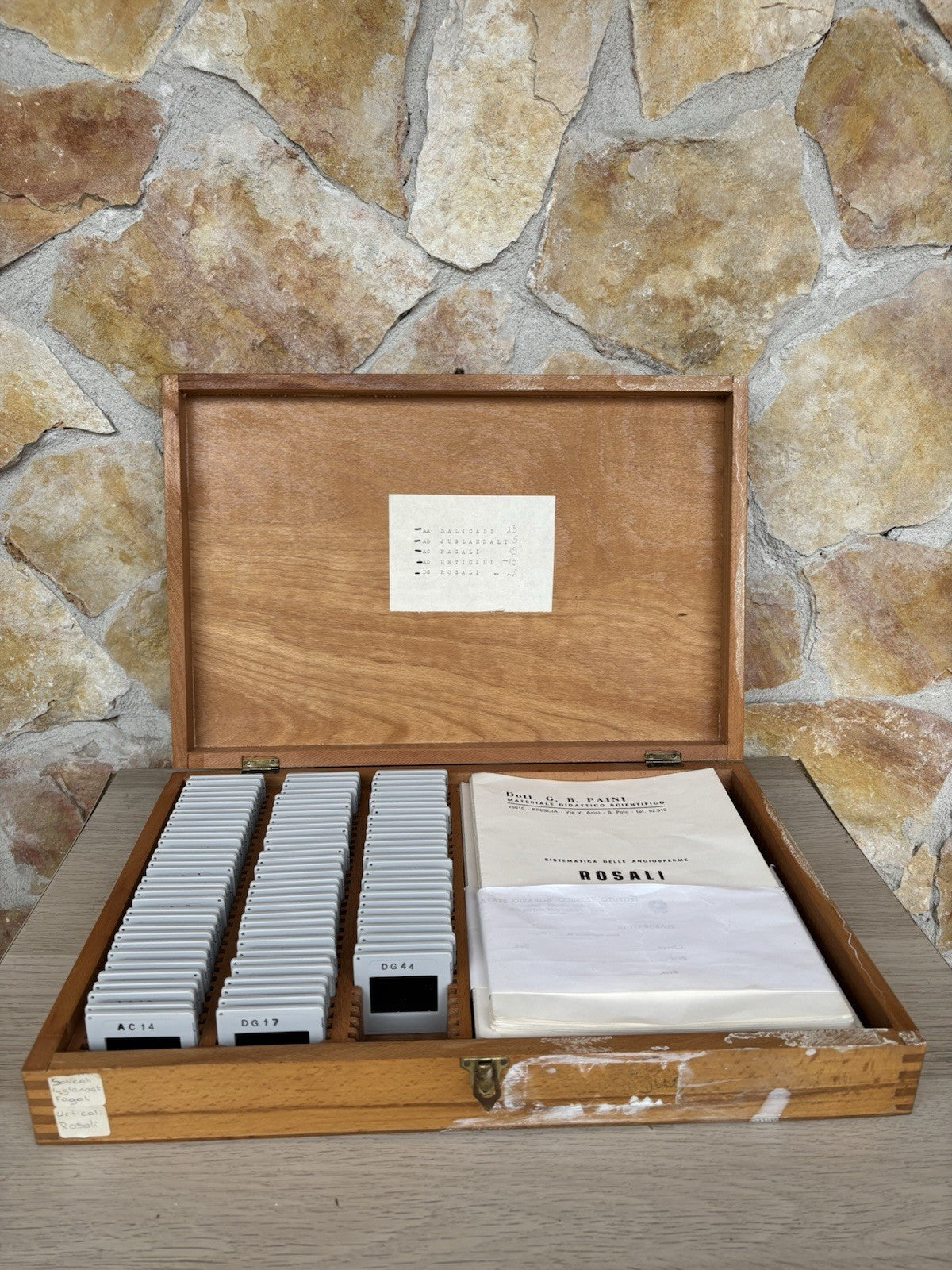 Proiettore Per Diapositive Vintage Made In Germany (con Diapositive Didattiche)