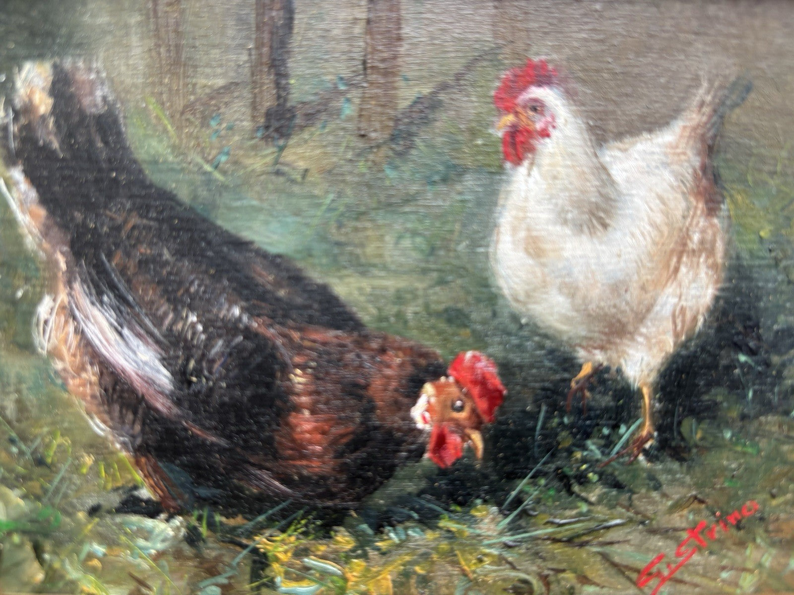 Quadro -Galline- Gianni Strino dipinto a olio su tavoletta
