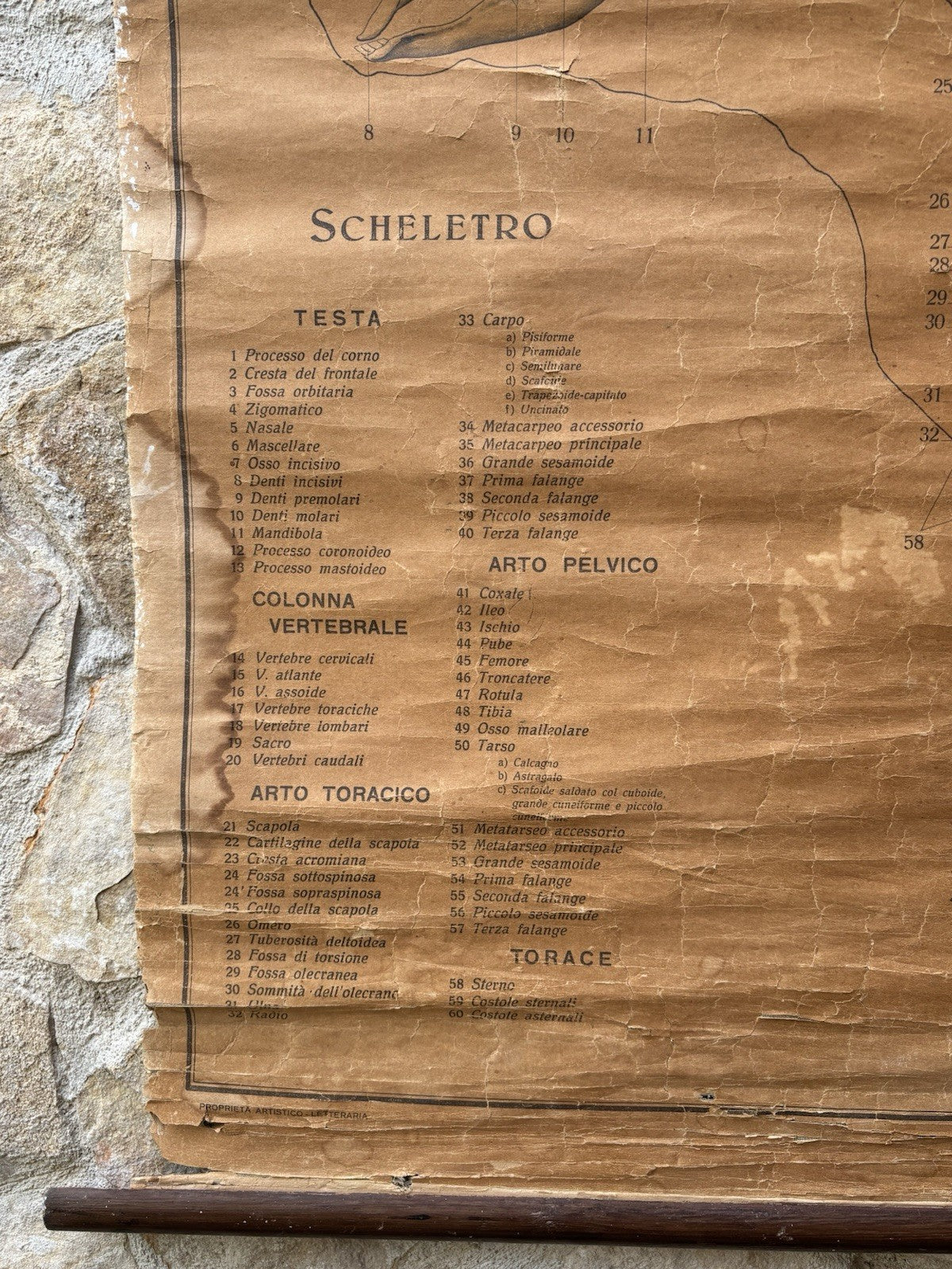 Tavola Parietale Vintage Paravia, La Vacca