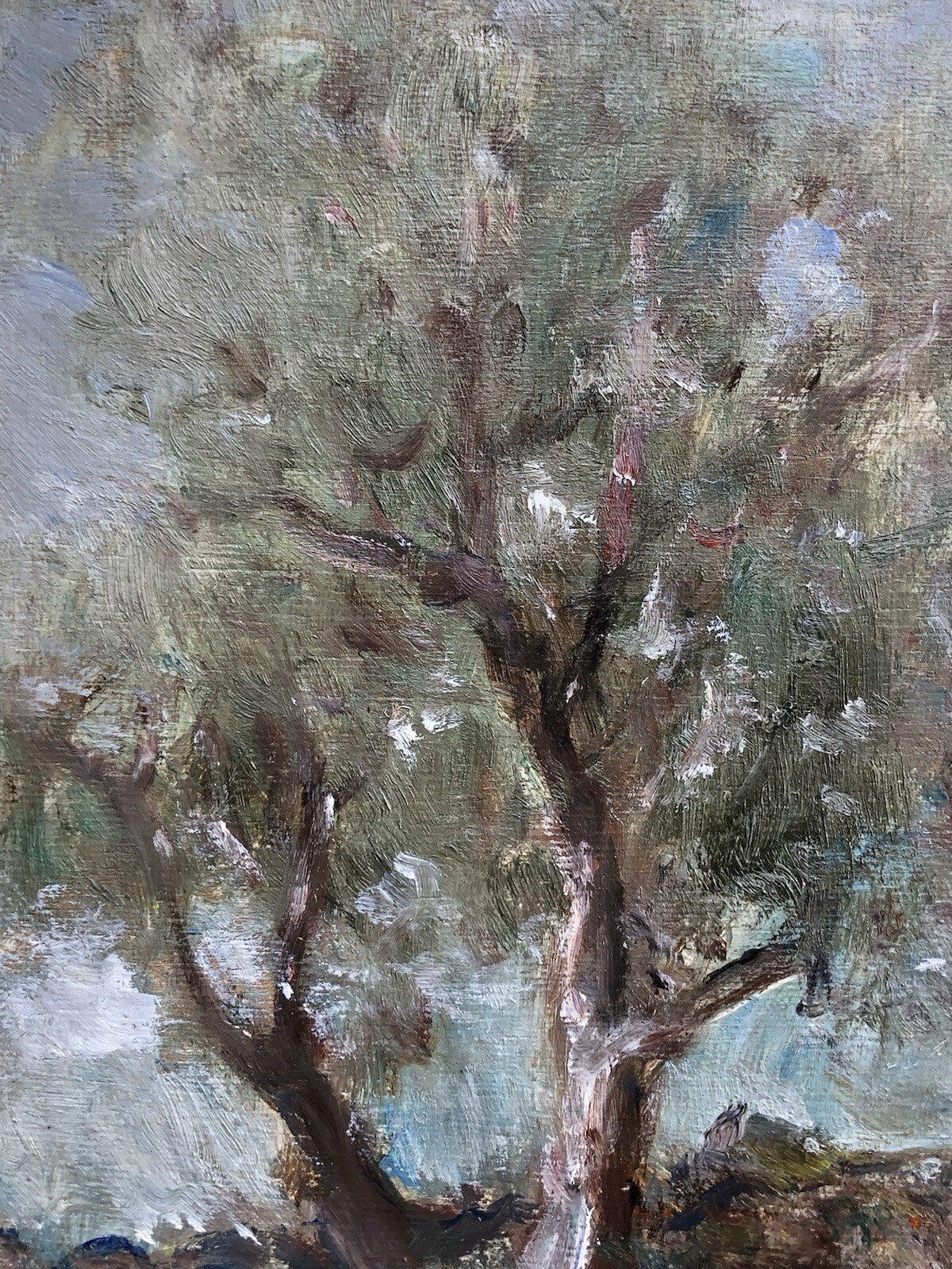 Quadro vintage -Ulivi- dipinto a olio su tavoletta