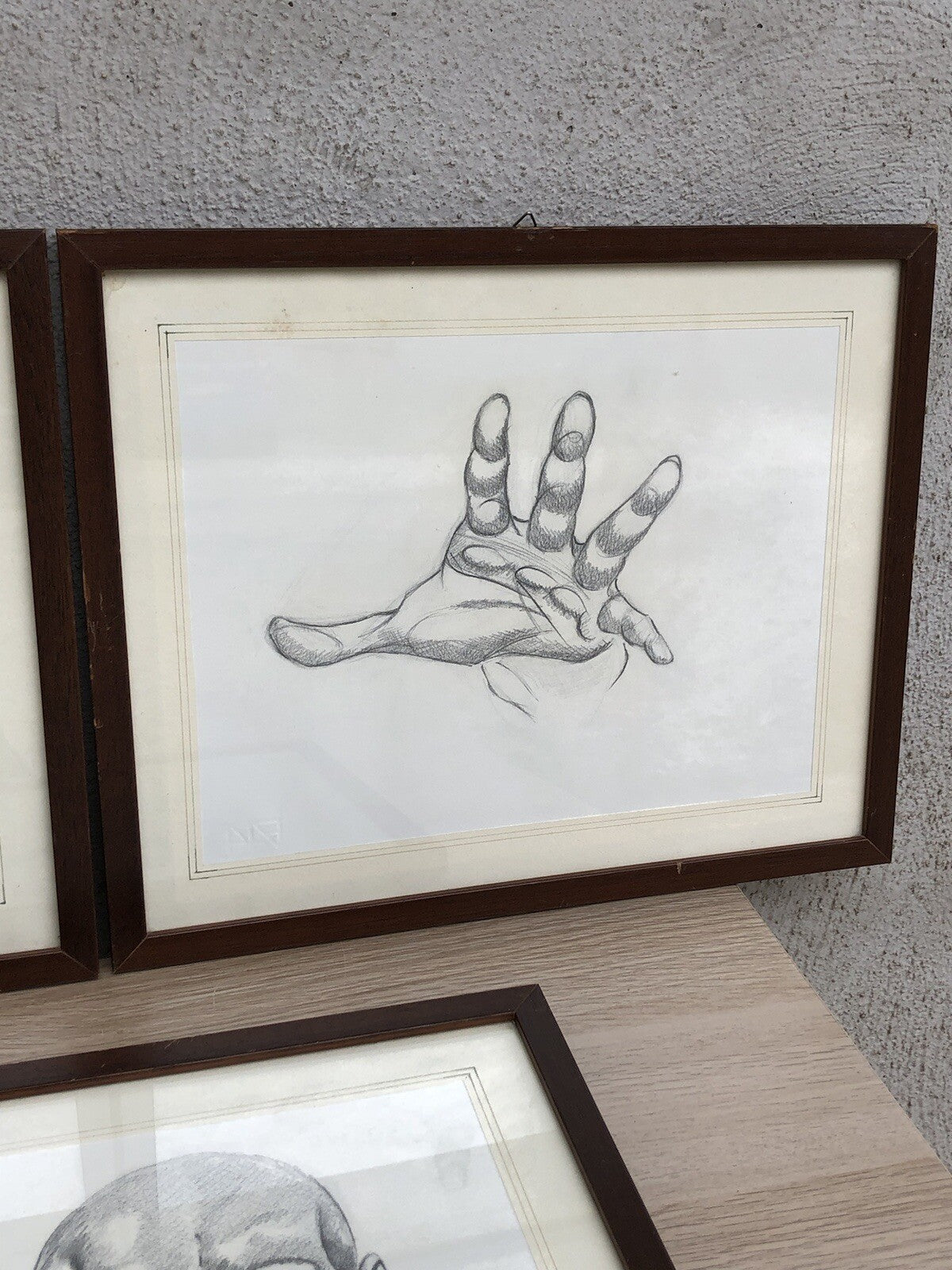 Quadri Vintage Con Disegni Anatomici