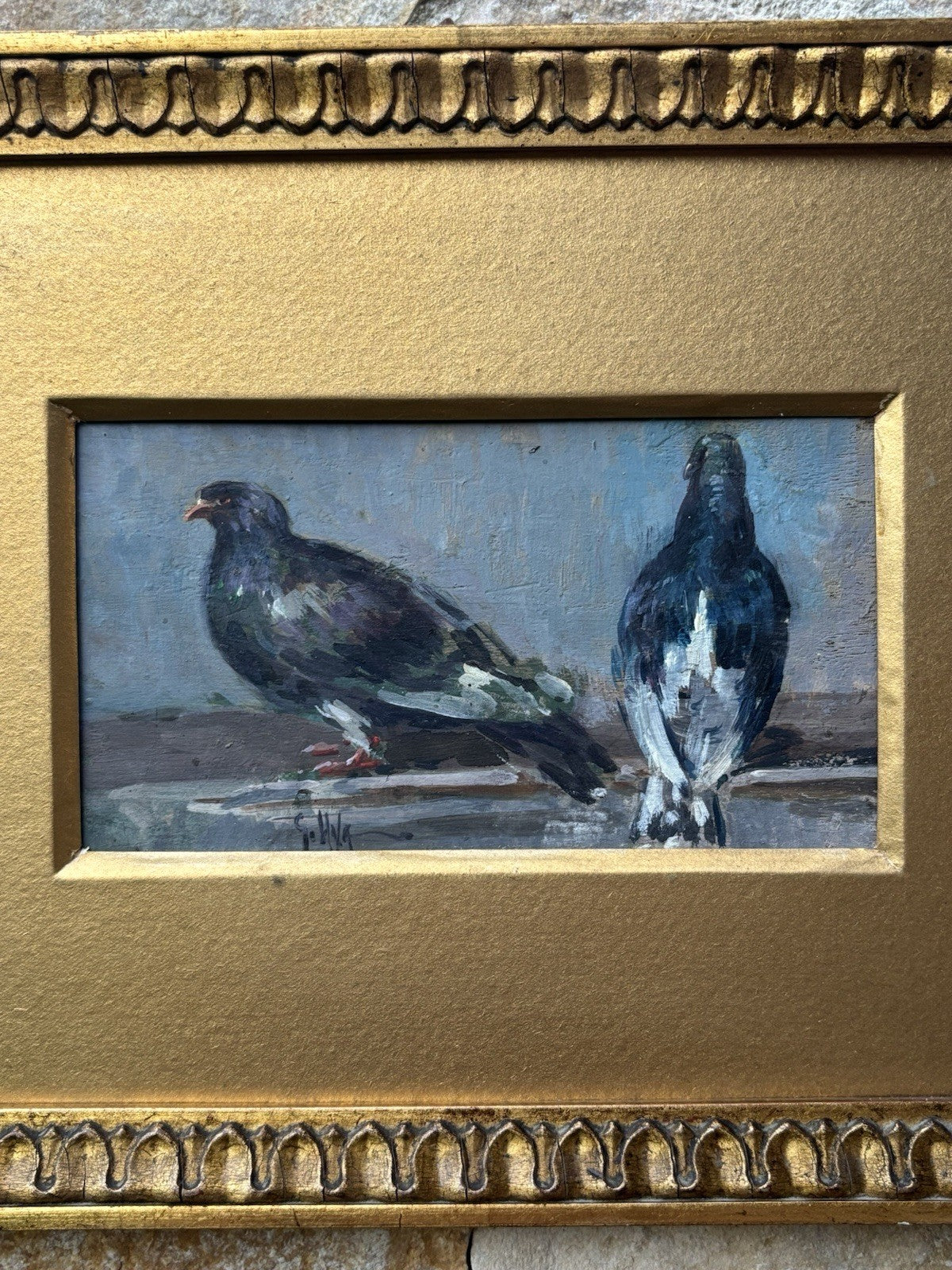 Quadro -Piccioni- Giuseppe Uva dipinto a olio