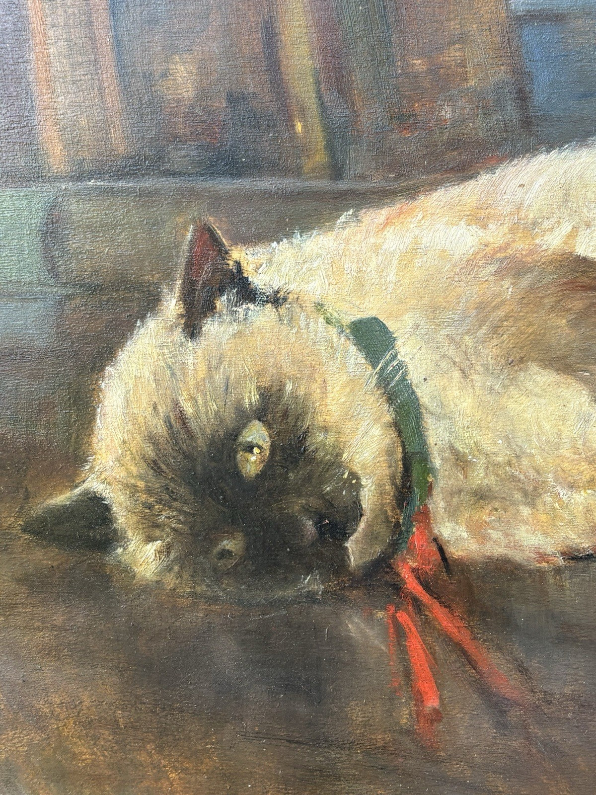 Quadro -Gatto Con Gomitolo- Antonio D’Urso dipinto a olio