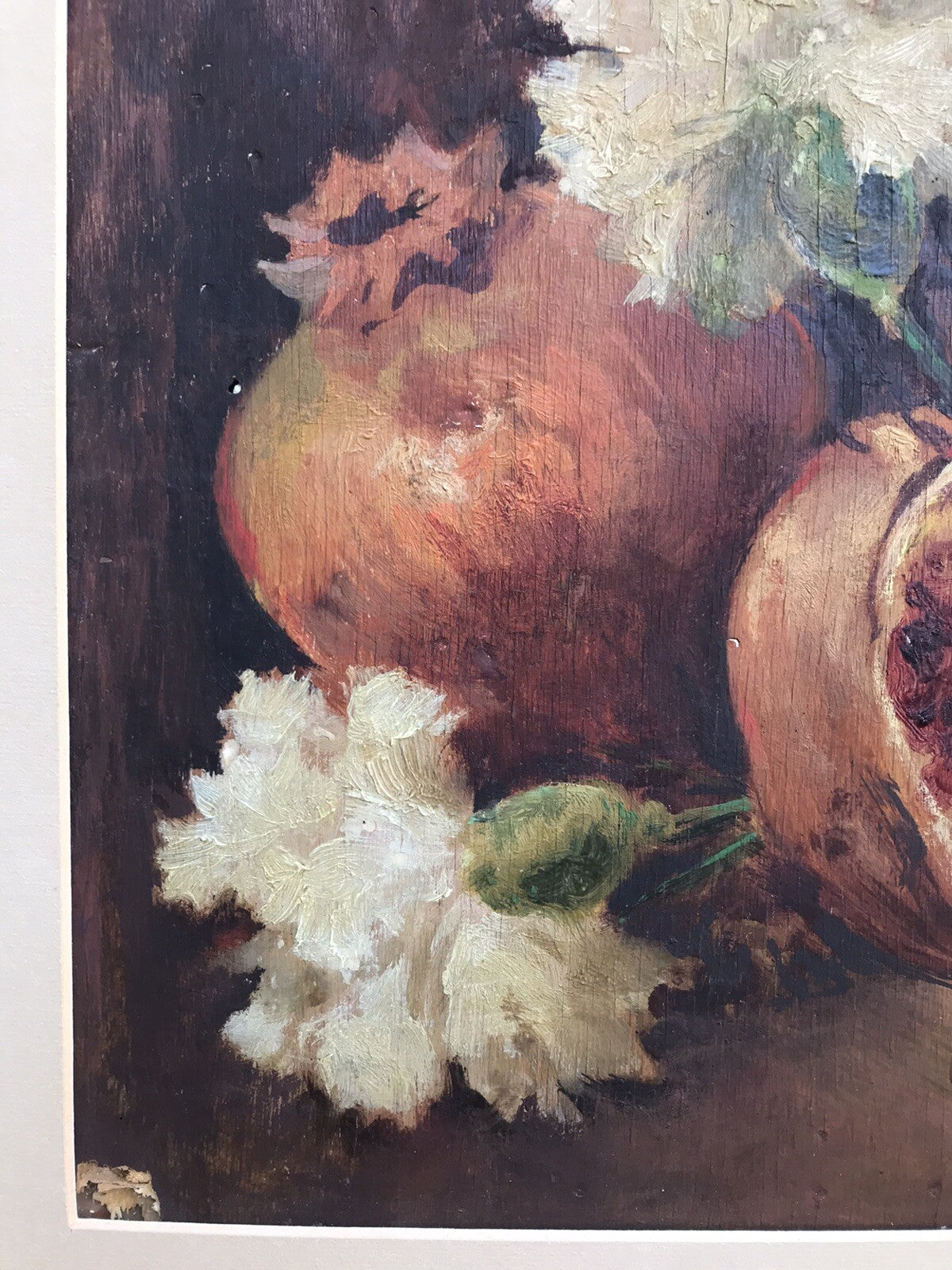 Quadro dipinto antico -Natura Morta- Giuseppe Alberto Cocco