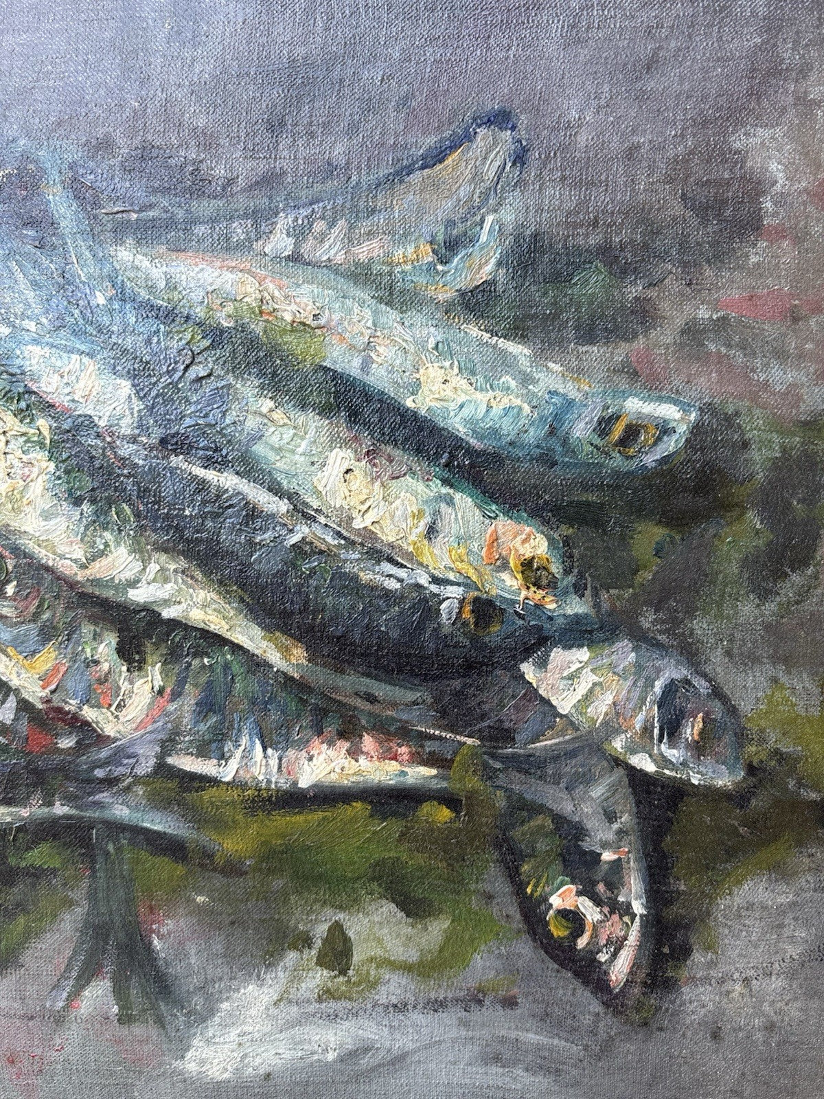 Quadro -Alici- Vincenzo Colucci ? dipinto a olio