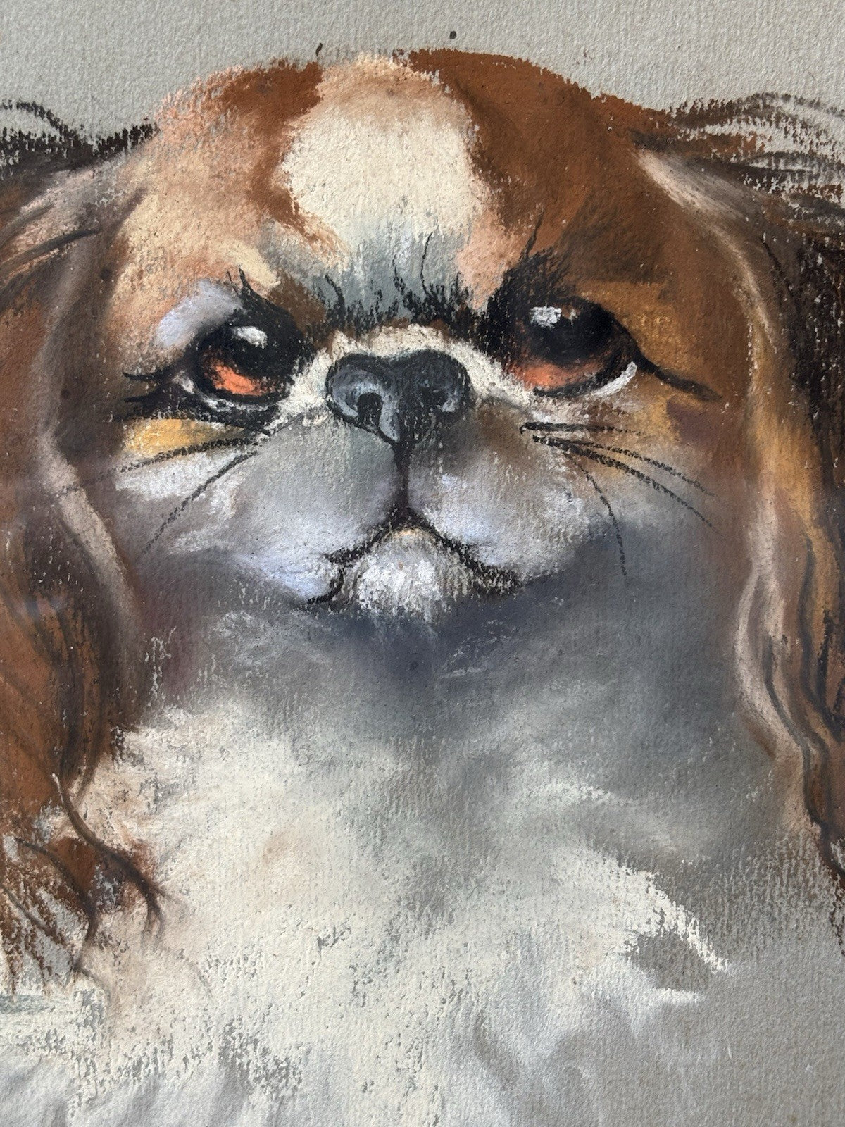 Quadro -Cane E Gatto- Marino Lenci realizzato a pastello su carta