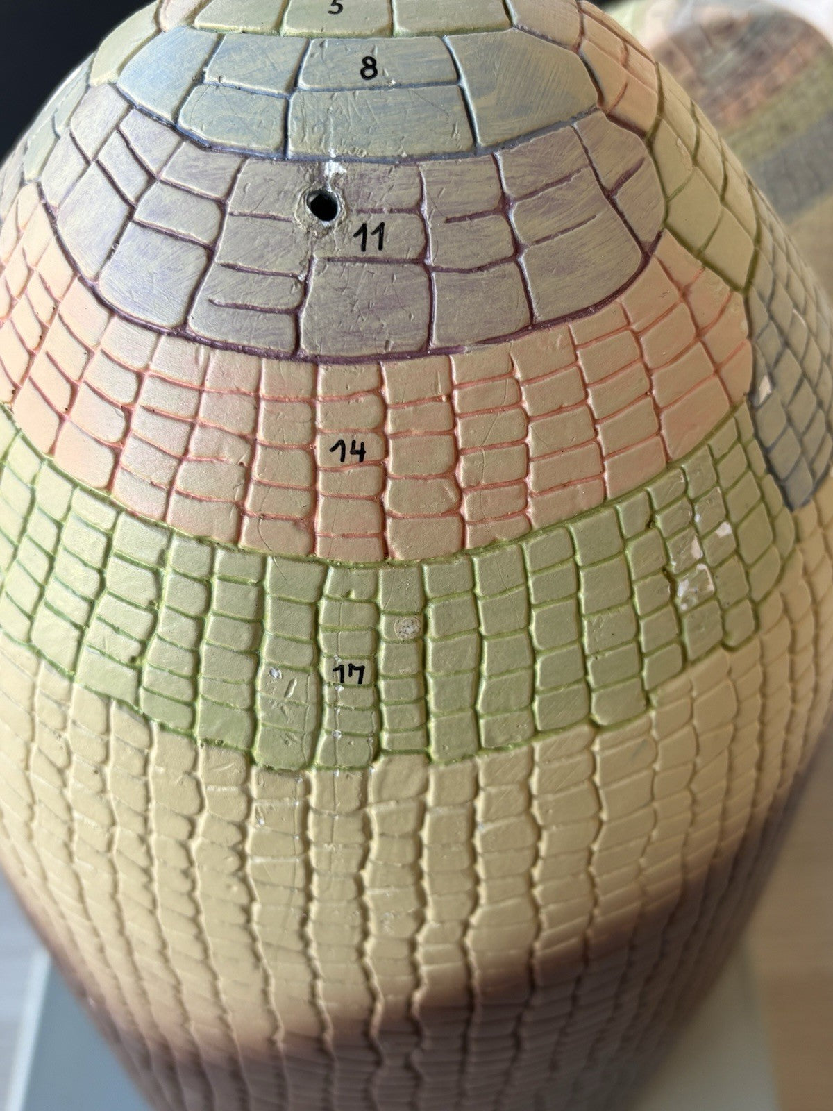 Modello Didattico/ Botanico, Somso Made In Germany