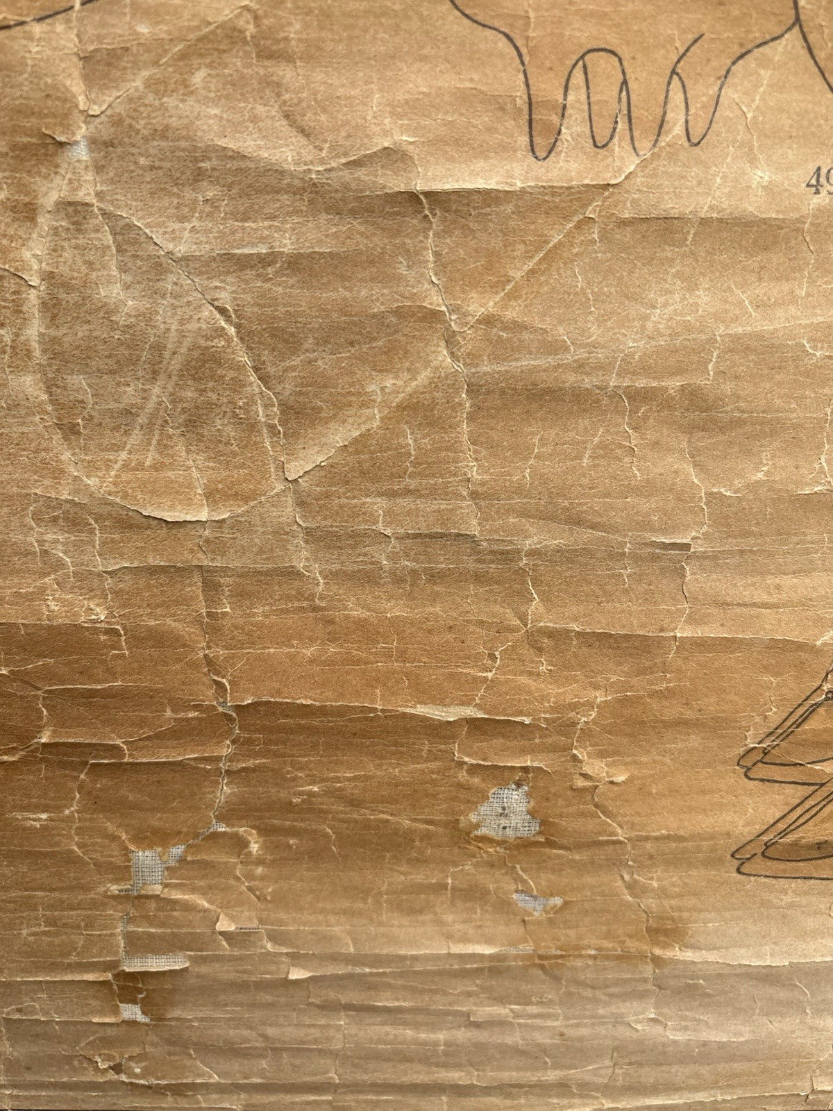 Tavola Parietale Vintage Paravia, La Vacca