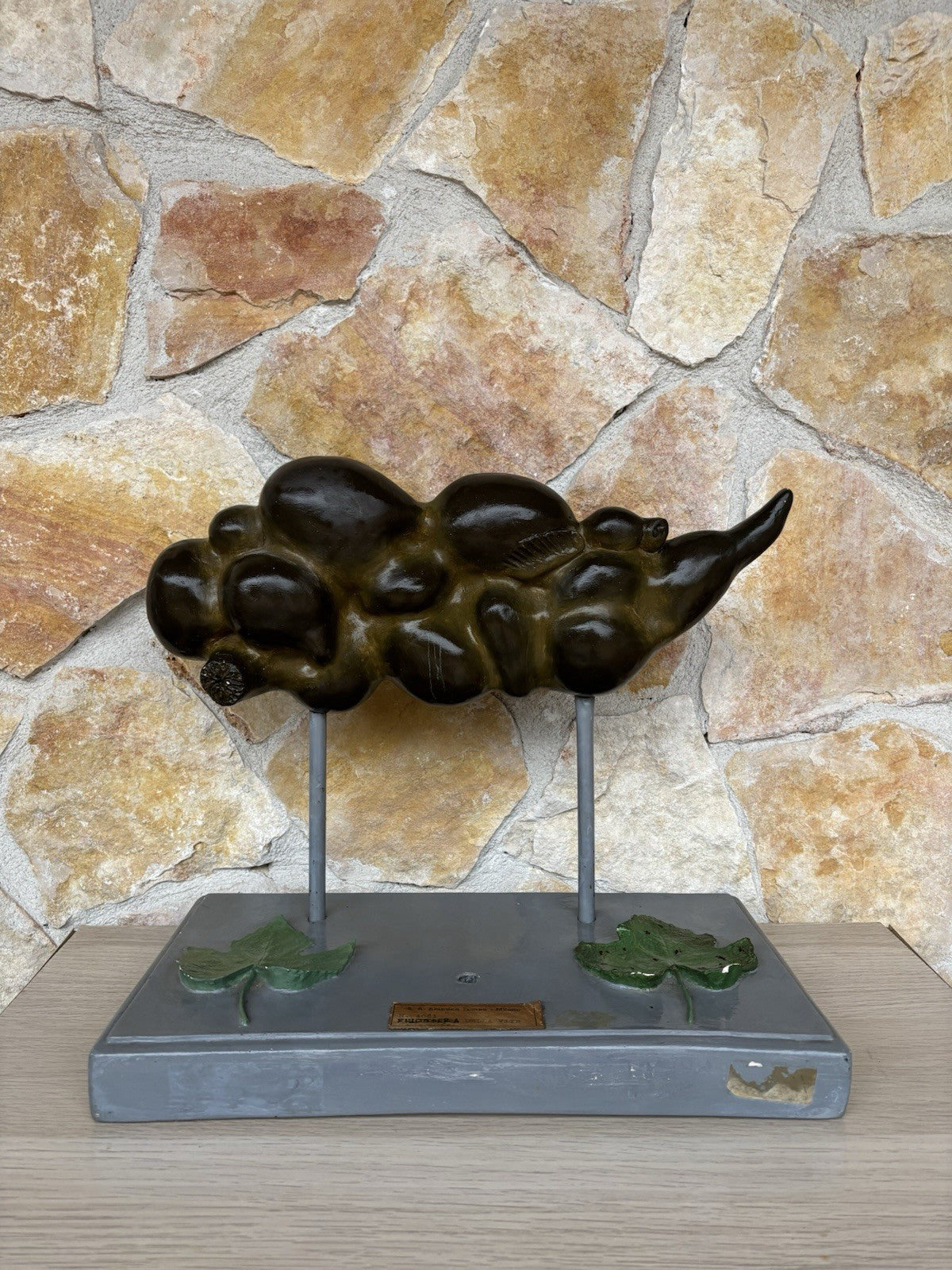 Modello Didattico Vintage