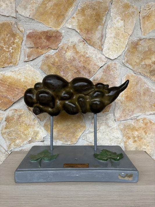 Modello Didattico Vintage