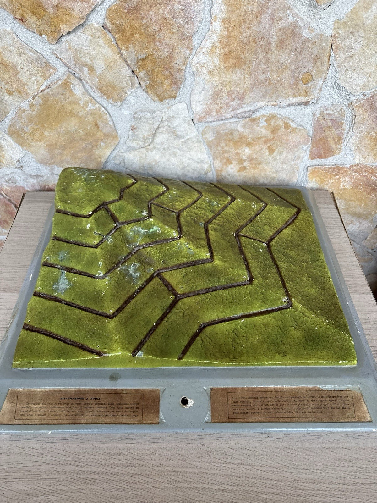 Modello Didattico Produzione Scientifica Paravia