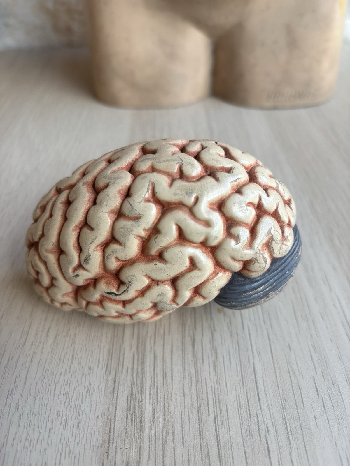 Modello Didattico Scientifico Busto Paravia