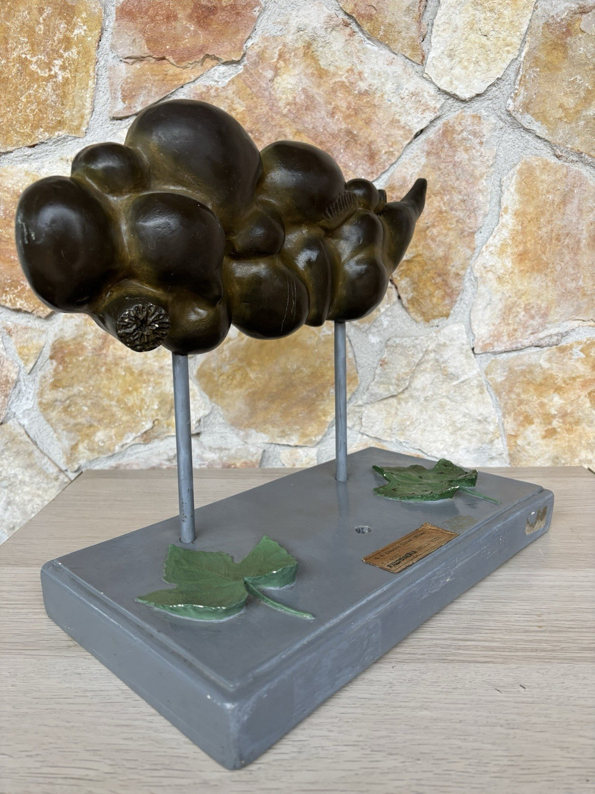 Modello Didattico Vintage