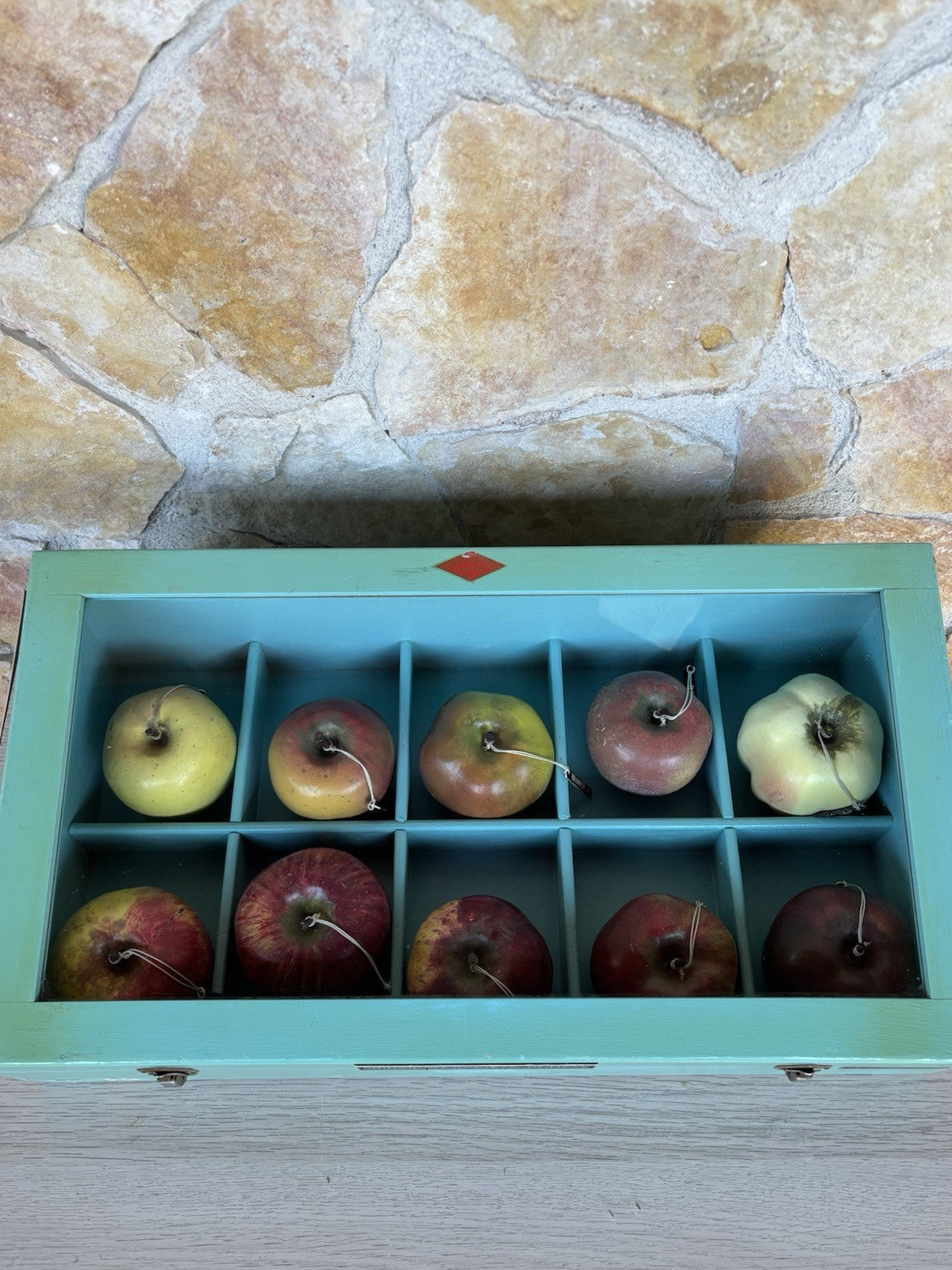 Modello Didattico -Principali Varietà Di Mele- Toffoli E Figli