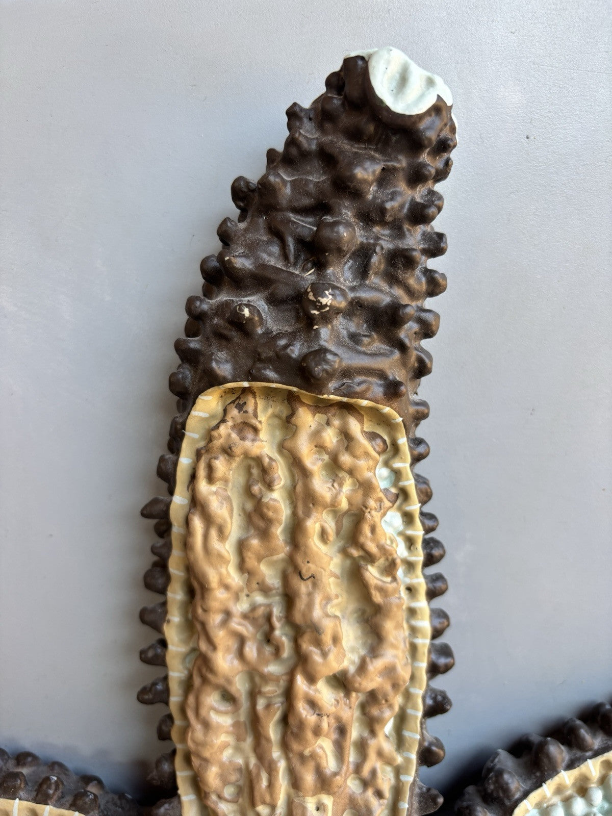 Stella Marina- Produzione Scientifica Paravia, Modello Didattico Vintage