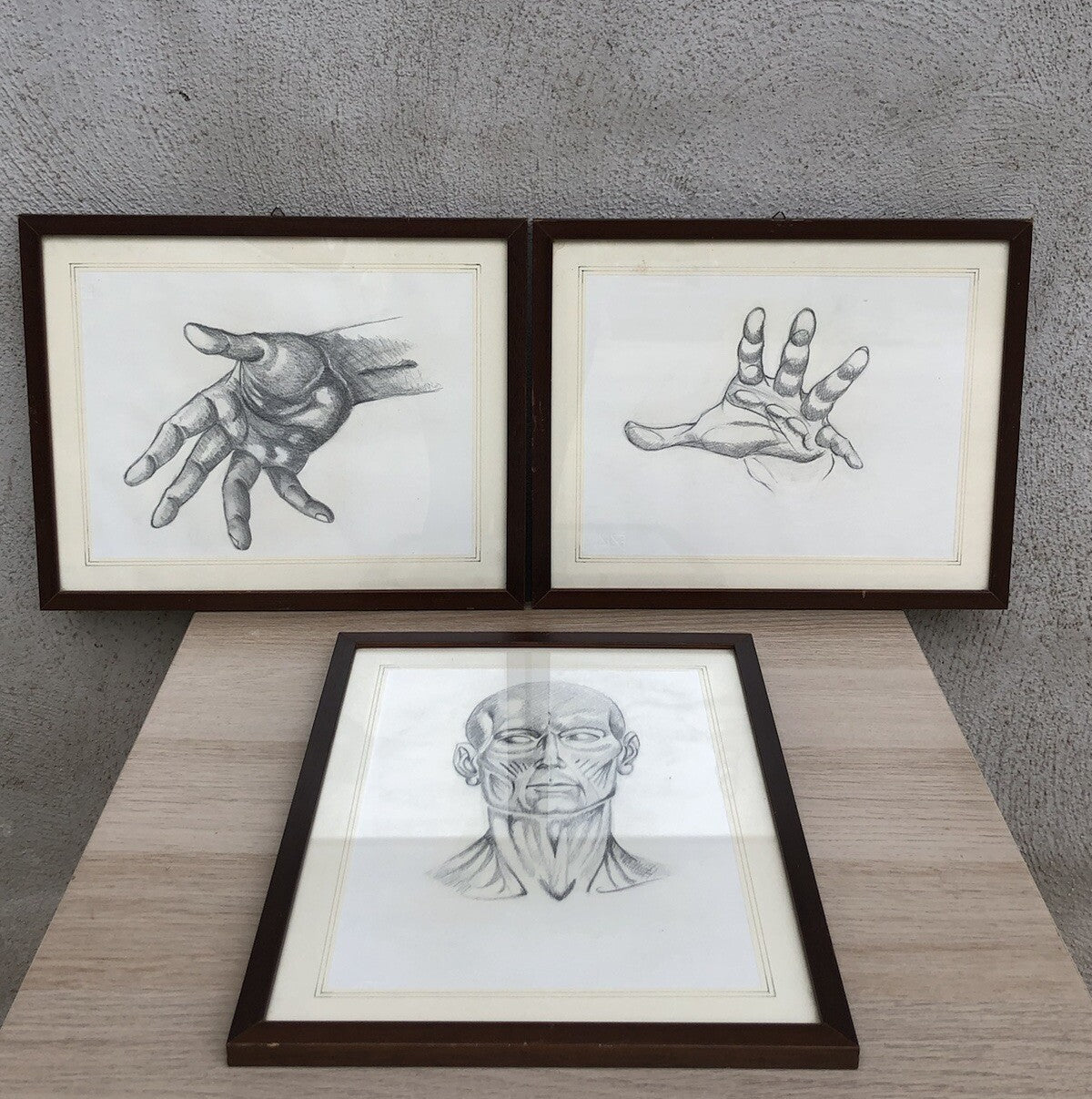Quadri Vintage Con Disegni Anatomici