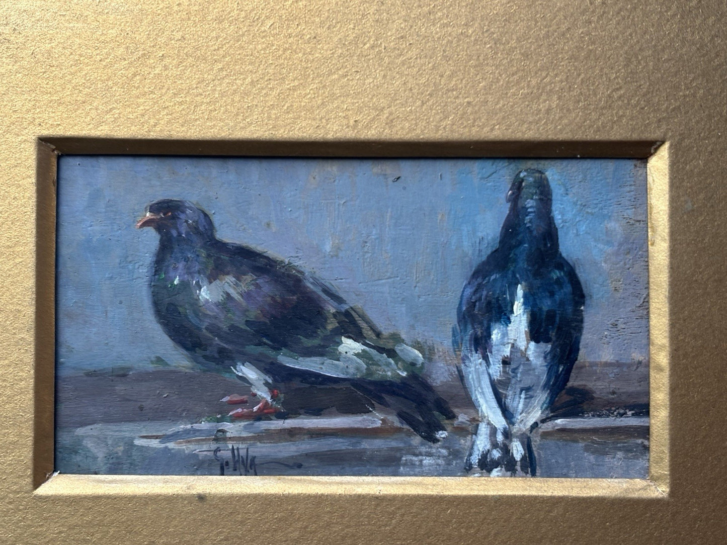 Quadro -Piccioni- Giuseppe Uva dipinto a olio