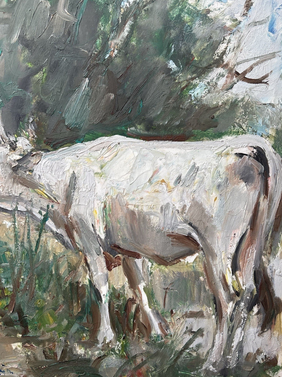 Quadro -Paesaggio Con Toro- Carlo Verdecchia dipinto a olio