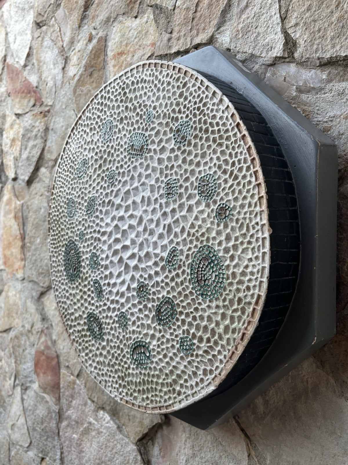 Modello Didattico/Botanico Vintage, Amedeo Fumeo Milano-