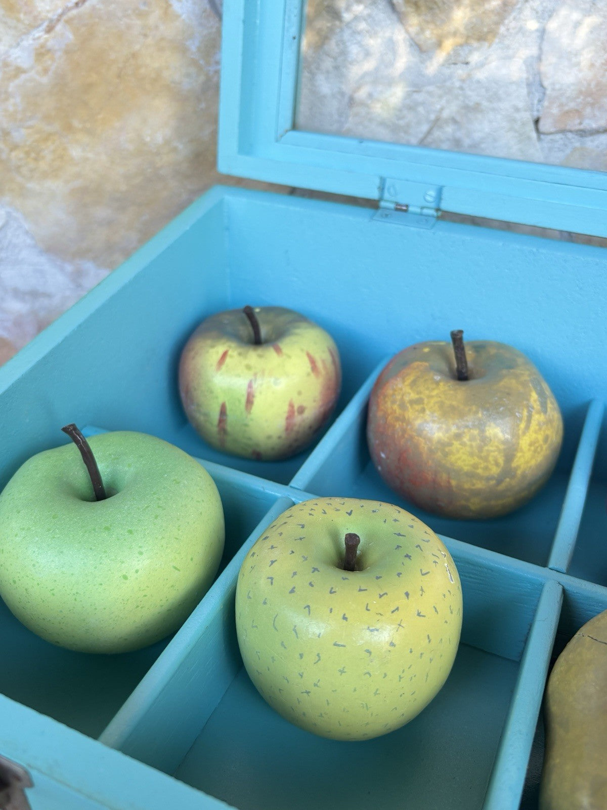 Modello Didattico- Principali Varietà Di Mele- Toffoli E Figli