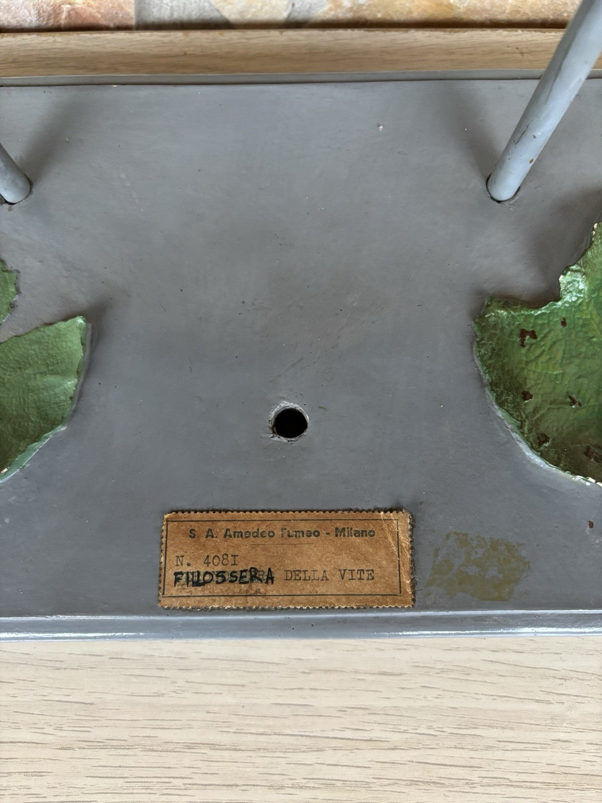 Modello Didattico Vintage