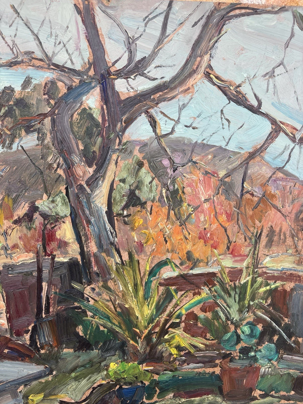 Quadro -Albero Spoglio- Edmondo Di Napoli- dipinto a olio