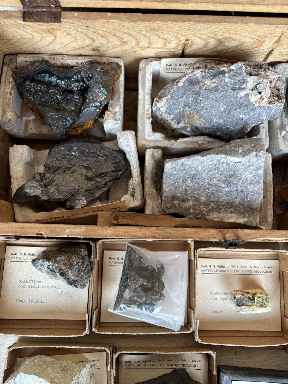 Rocce E Minerali Vintage Con Scatola In Legno Carlo Erba