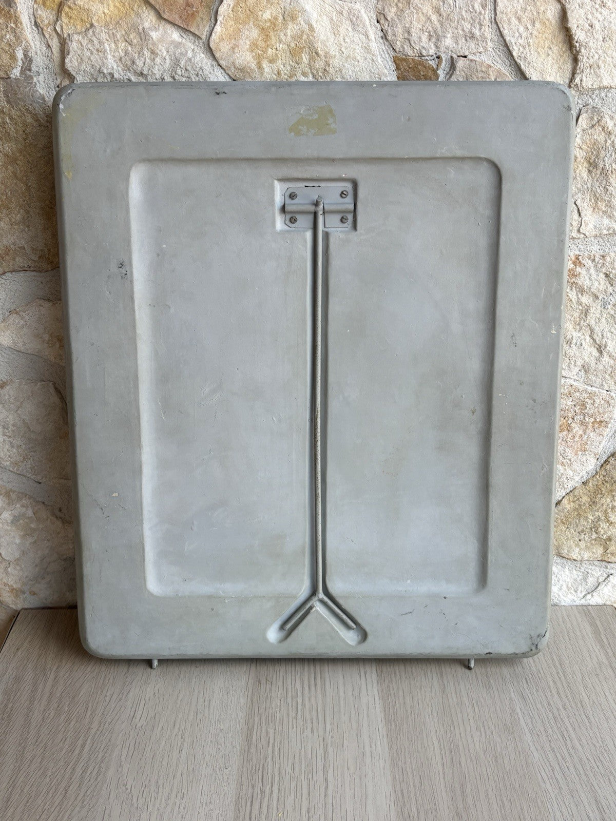 Modello Didattico, Scientifico E Botanico Paravia Vintage