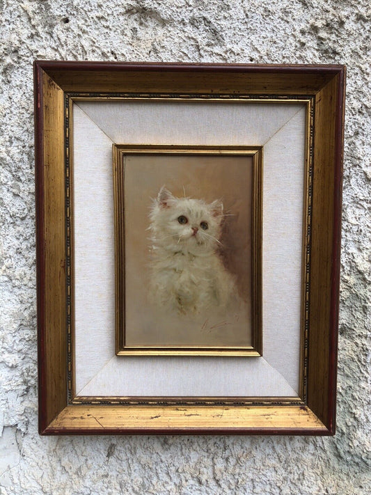 Quadro vintage-Gatto-dipinto a olio su tavola