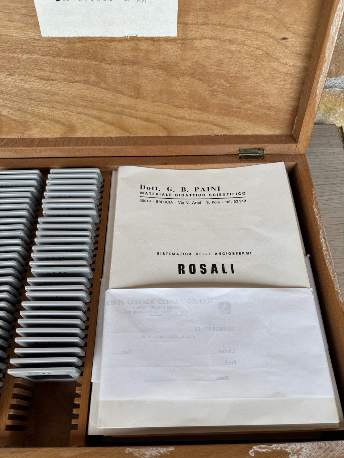 Proiettore Per Diapositive Vintage Made In Germany (con Diapositive Didattiche)