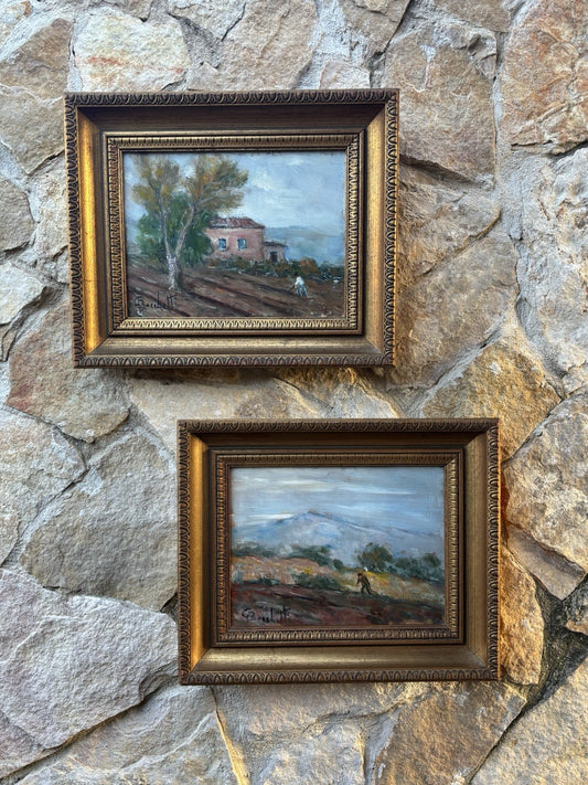 Coppia quadri -Paesaggi- Gaetano Bocchetti dipinti a olio