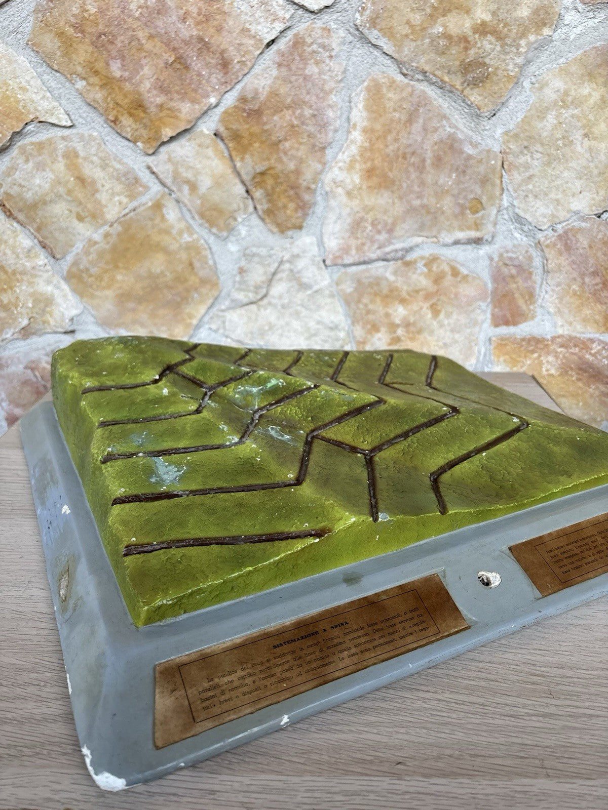 Modello Didattico Produzione Scientifica Paravia