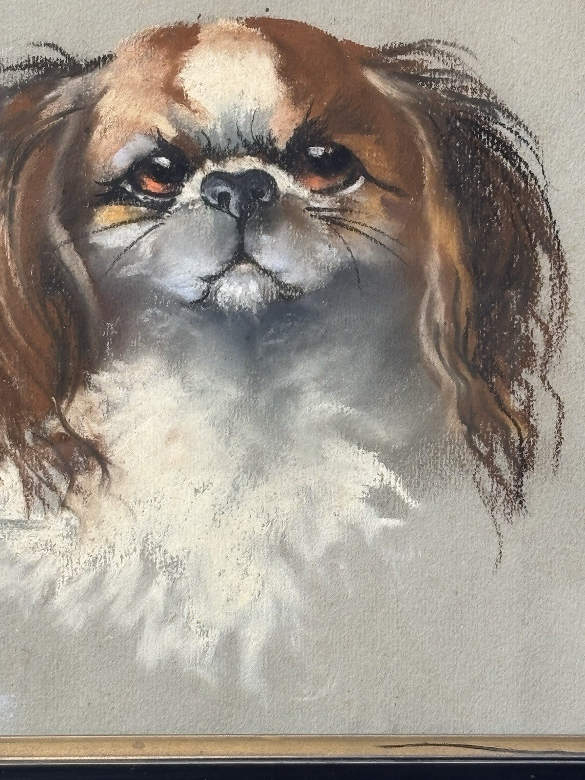 Quadro -Cane E Gatto- Marino Lenci realizzato a pastello su carta