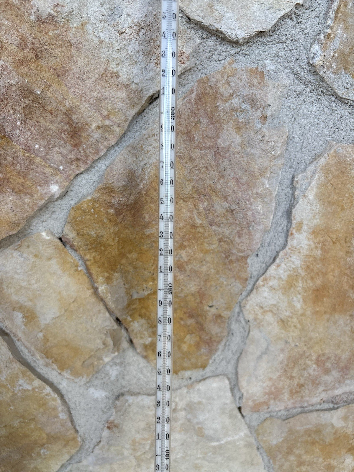 Coppia Di Antichi Termometri Con Custodia