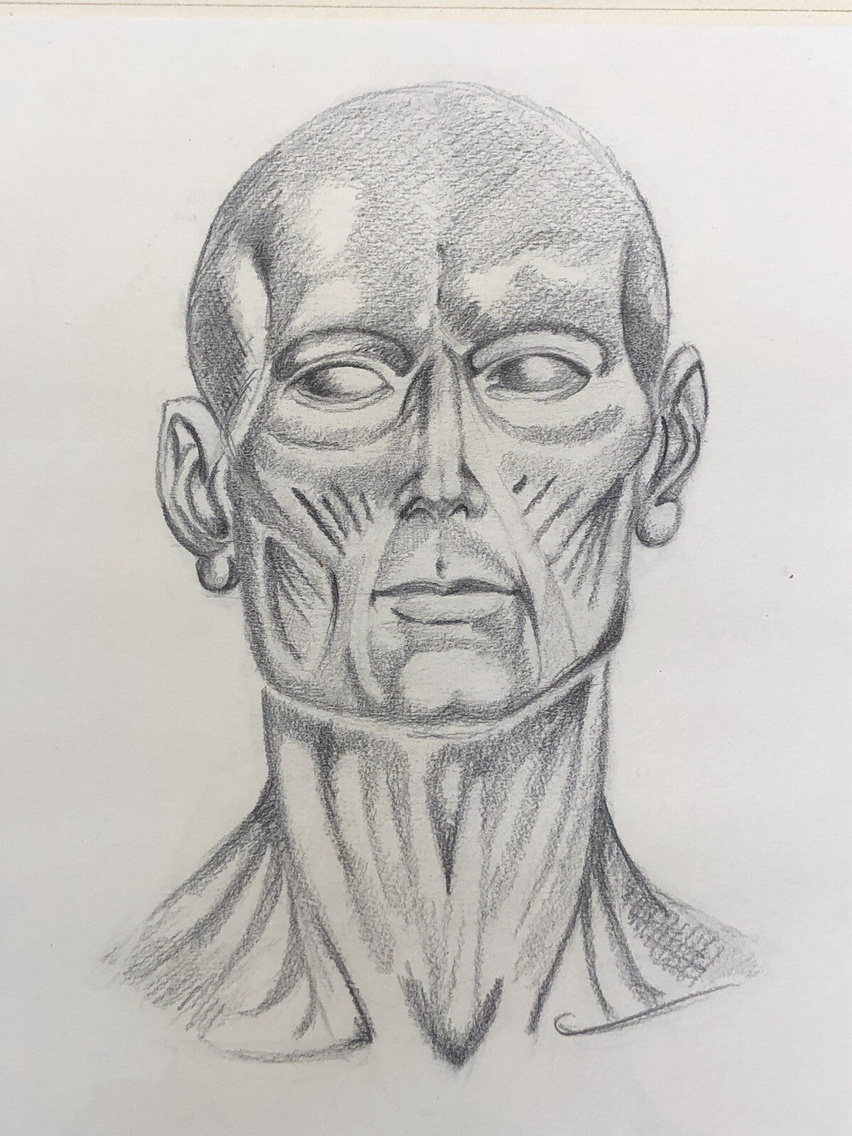 Quadri Vintage Con Disegni Anatomici