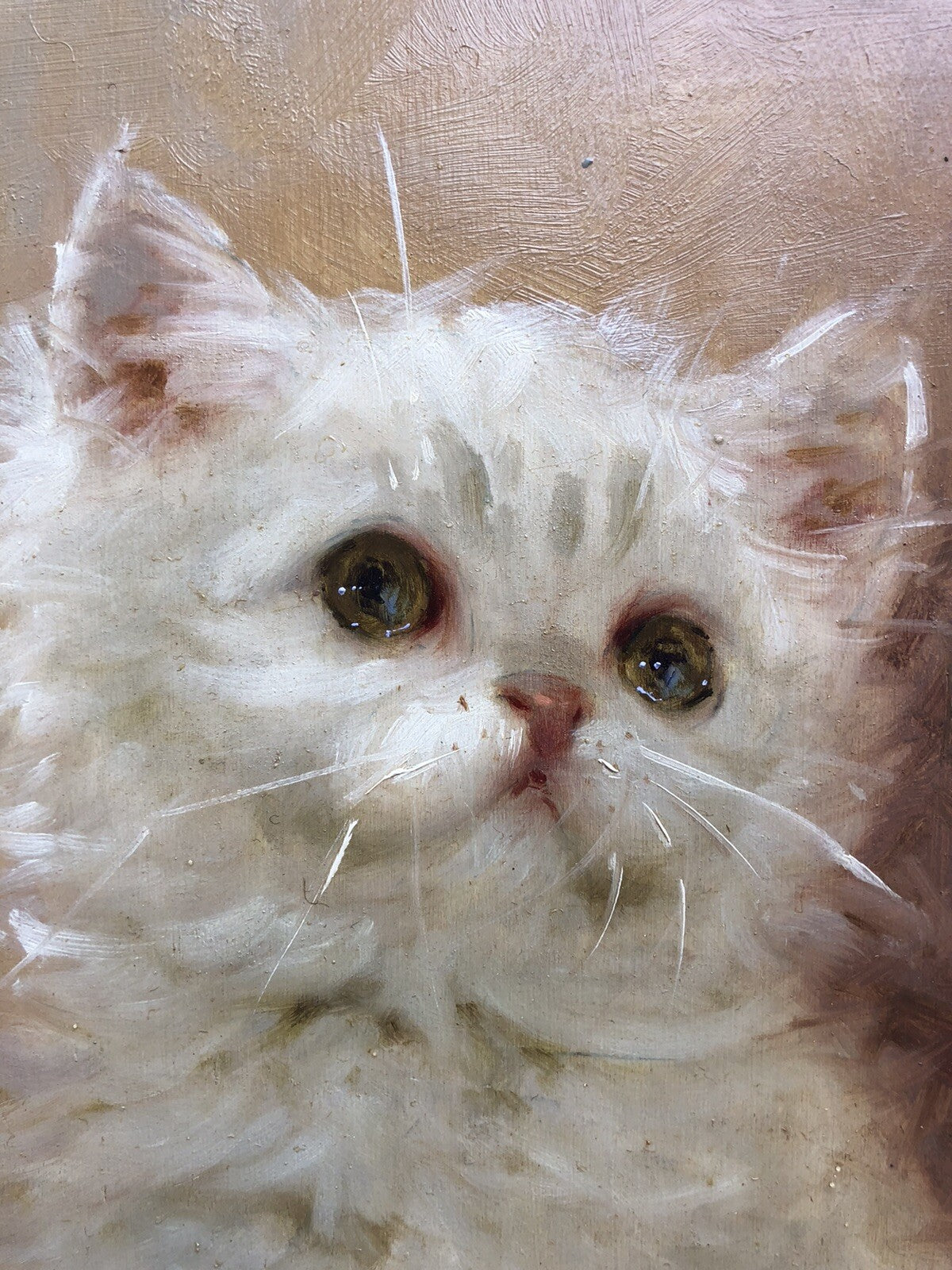 Quadro vintage-Gatto-dipinto a olio su tavola