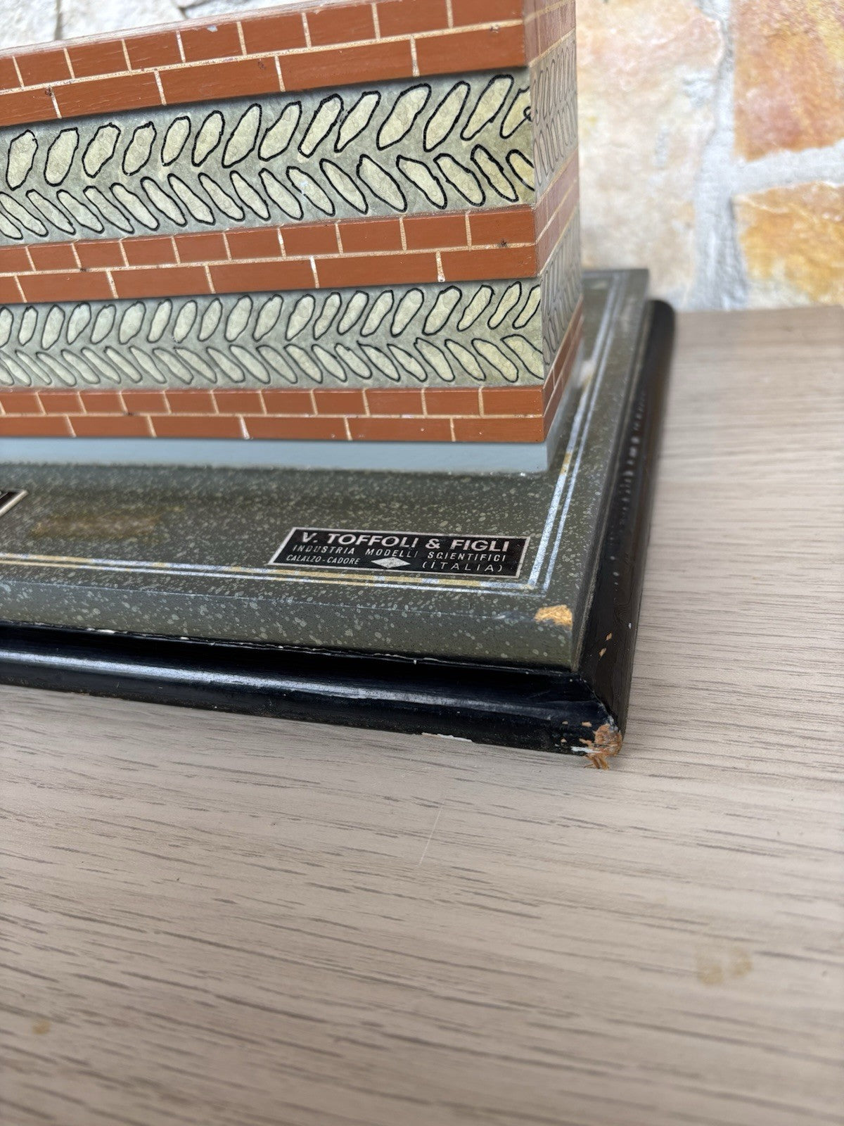 Modello Didattico E Scientifico Vintage Anni ‘50- Toffoli E Figli