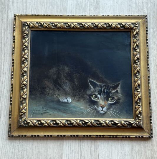 Quadro antico -Gatto- Andrea Pilone realizzato a pastello su carta