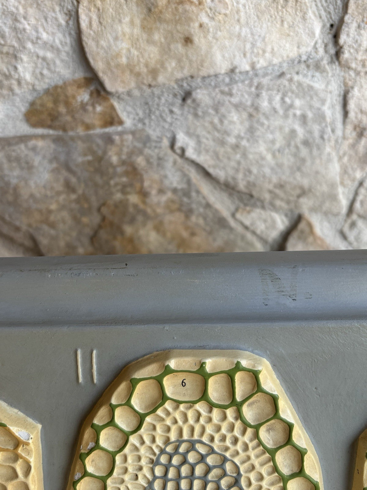 Modello Didattico, Scientifico E Botanico Paravia Vintage