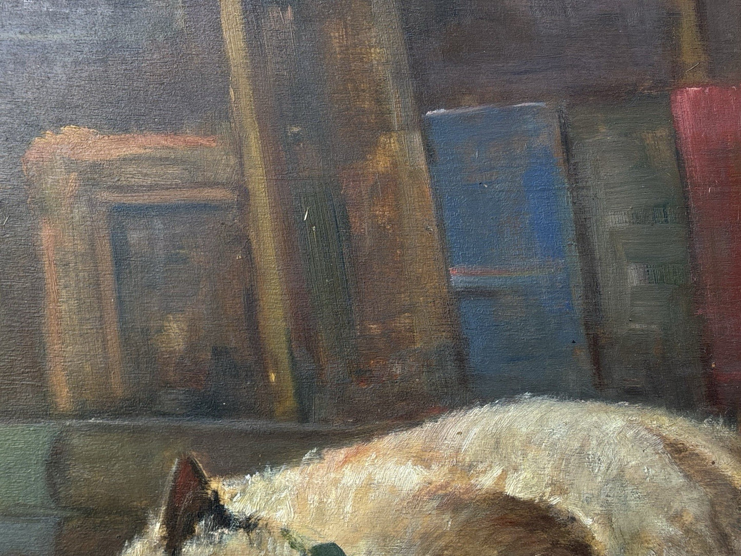 Quadro -Gatto Con Gomitolo- Antonio D’Urso dipinto a olio