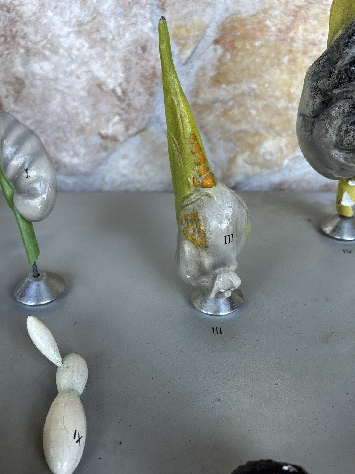 Modello Didattico, Scientifico E Botanico Paravia Vintage