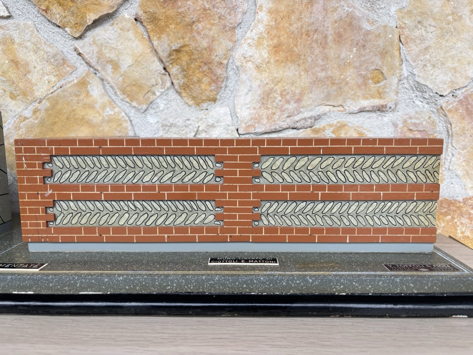 Modello Didattico E Scientifico Vintage Anni ‘50- Toffoli E Figli