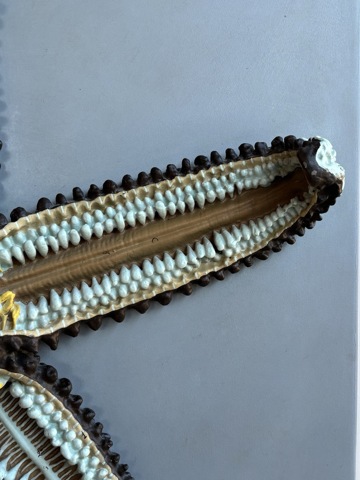 Stella Marina- Produzione Scientifica Paravia, Modello Didattico Vintage