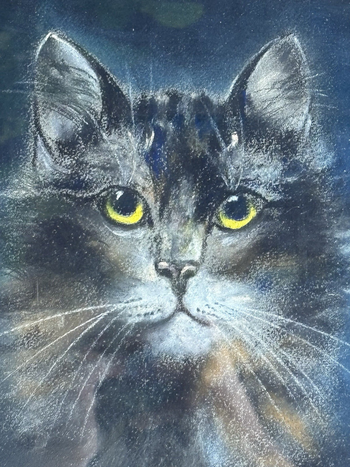 Quadro antico -Figura Gatto- pastello su carta