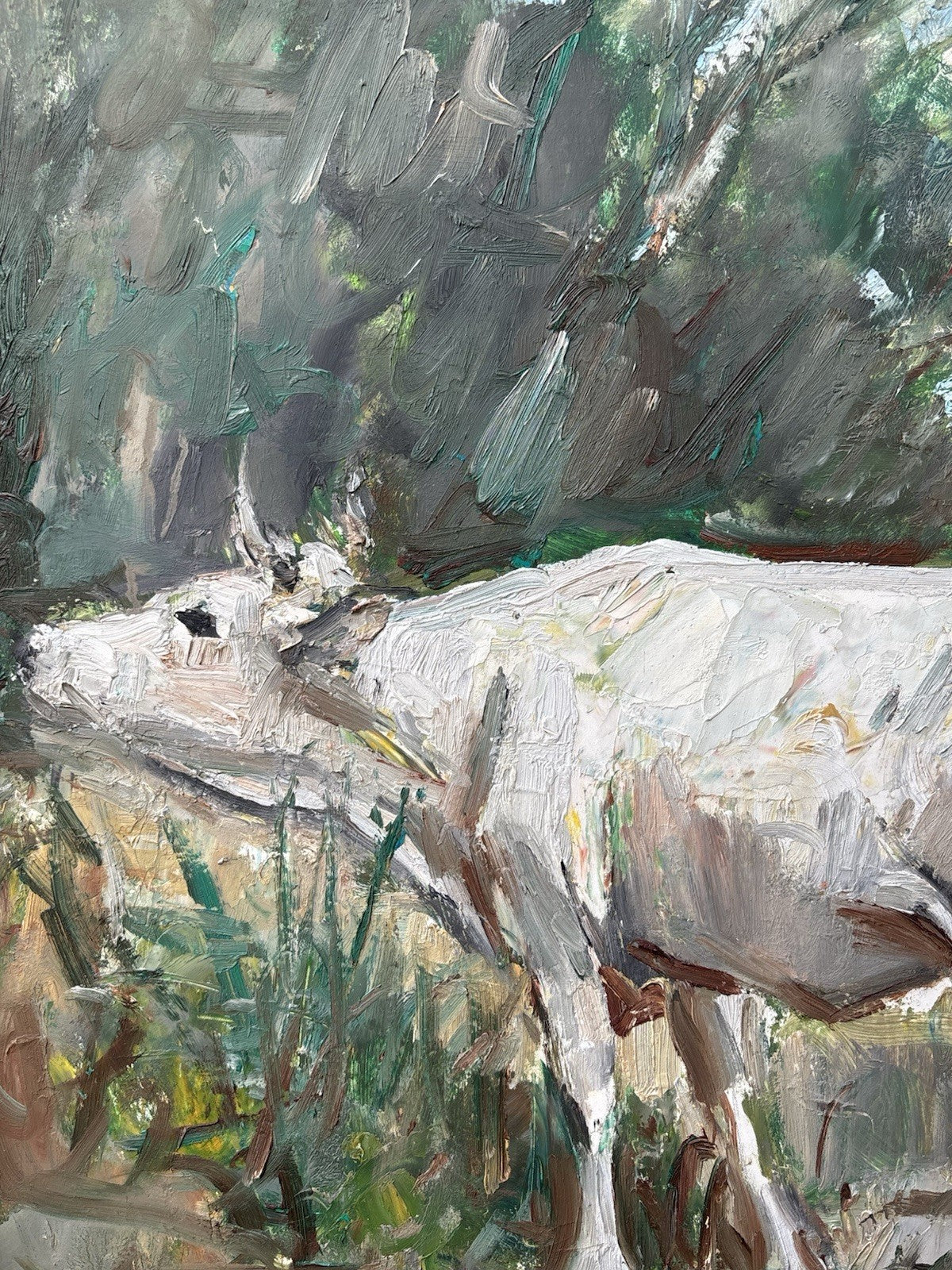 Quadro -Paesaggio Con Toro- Carlo Verdecchia dipinto a olio