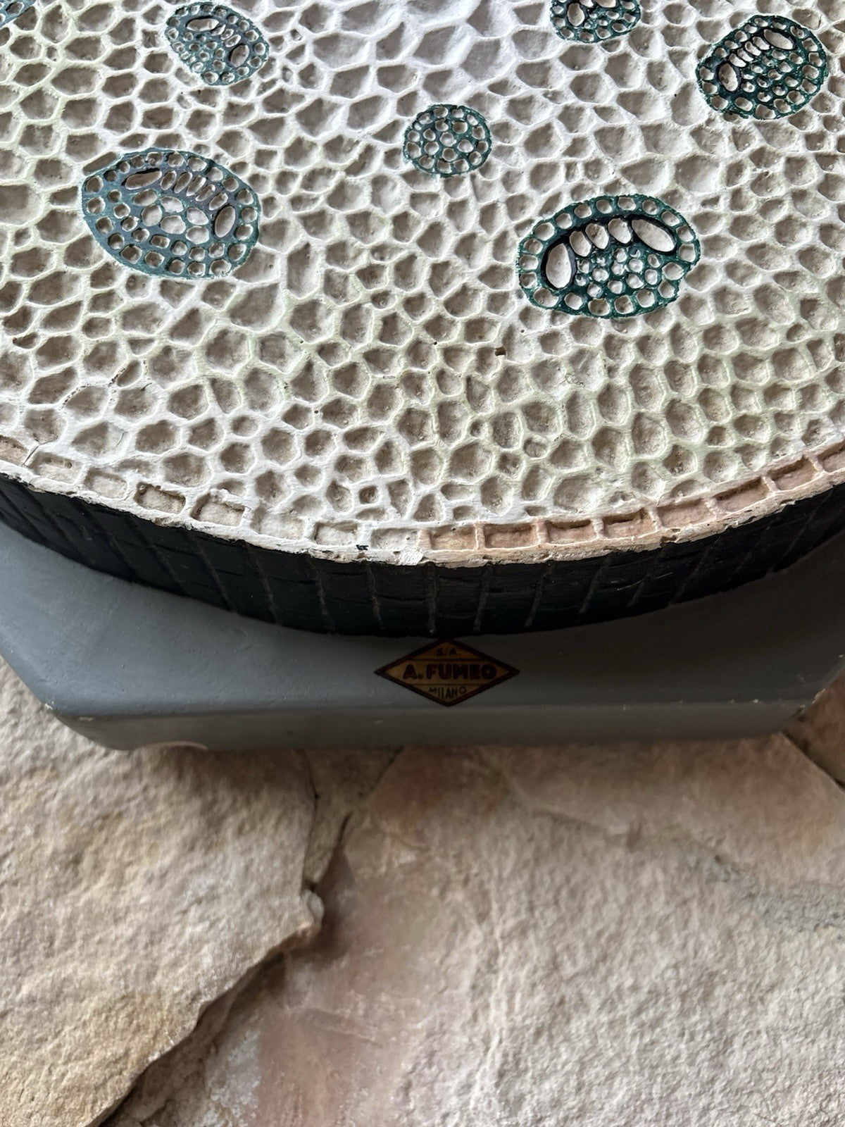 Modello Didattico/Botanico Vintage, Amedeo Fumeo Milano-