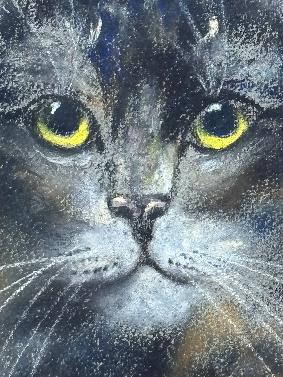 Quadro antico -Figura Gatto- pastello su carta