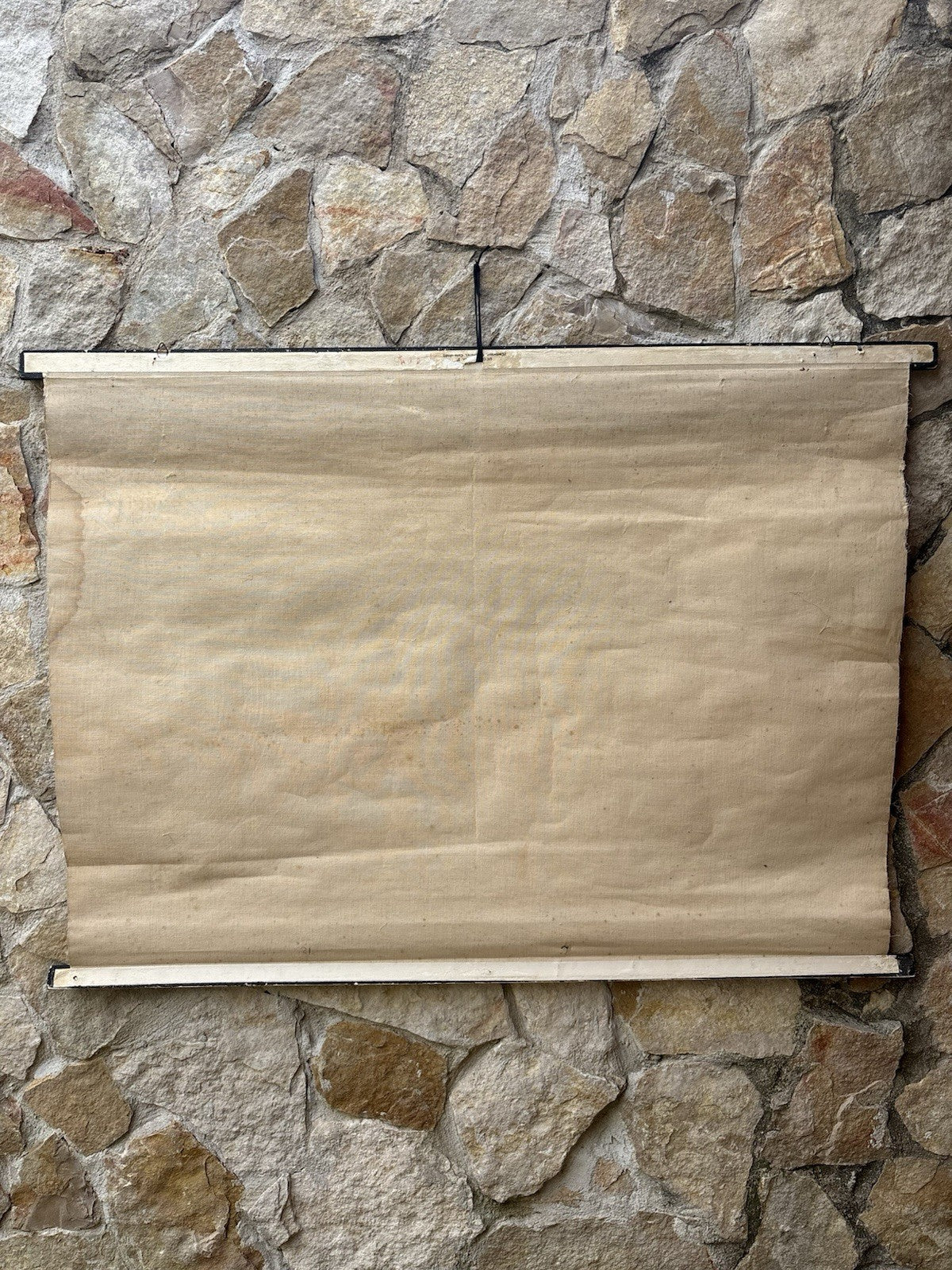 Tavola Parietale Vintage Paravia, Uccelli